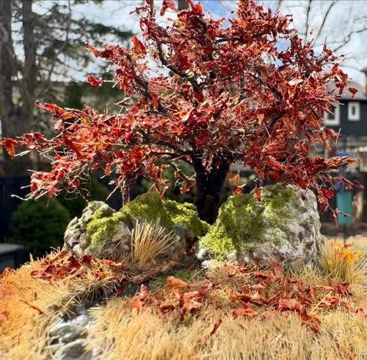 A Maple tree in Autumn — 1/160 scale.