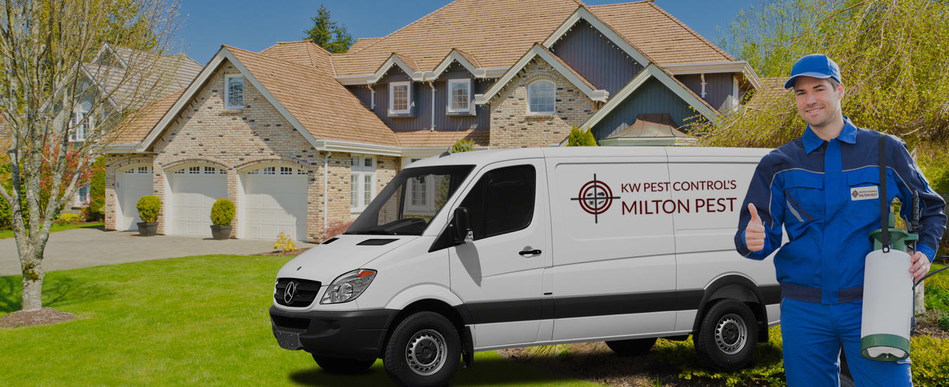 Milton Pest Management, 420 Bronte St S, Milton, ON