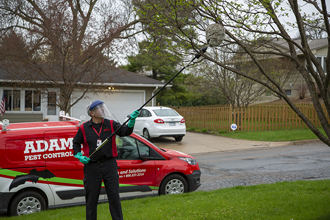 Adam's Pest Control – Albert Lea, Minnesota
