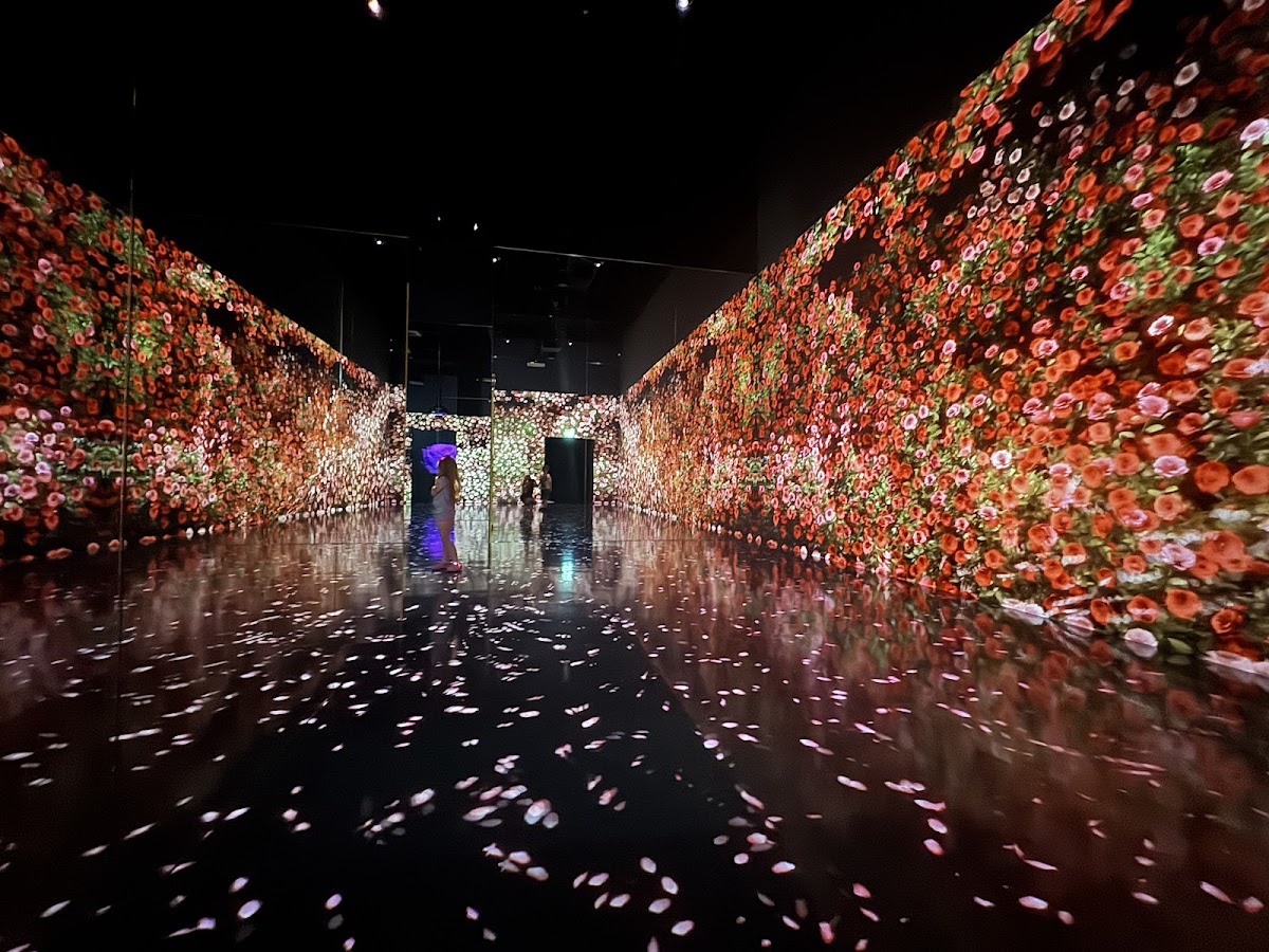 ARTE MUSEUM DUBAI – Dubai, Dubai