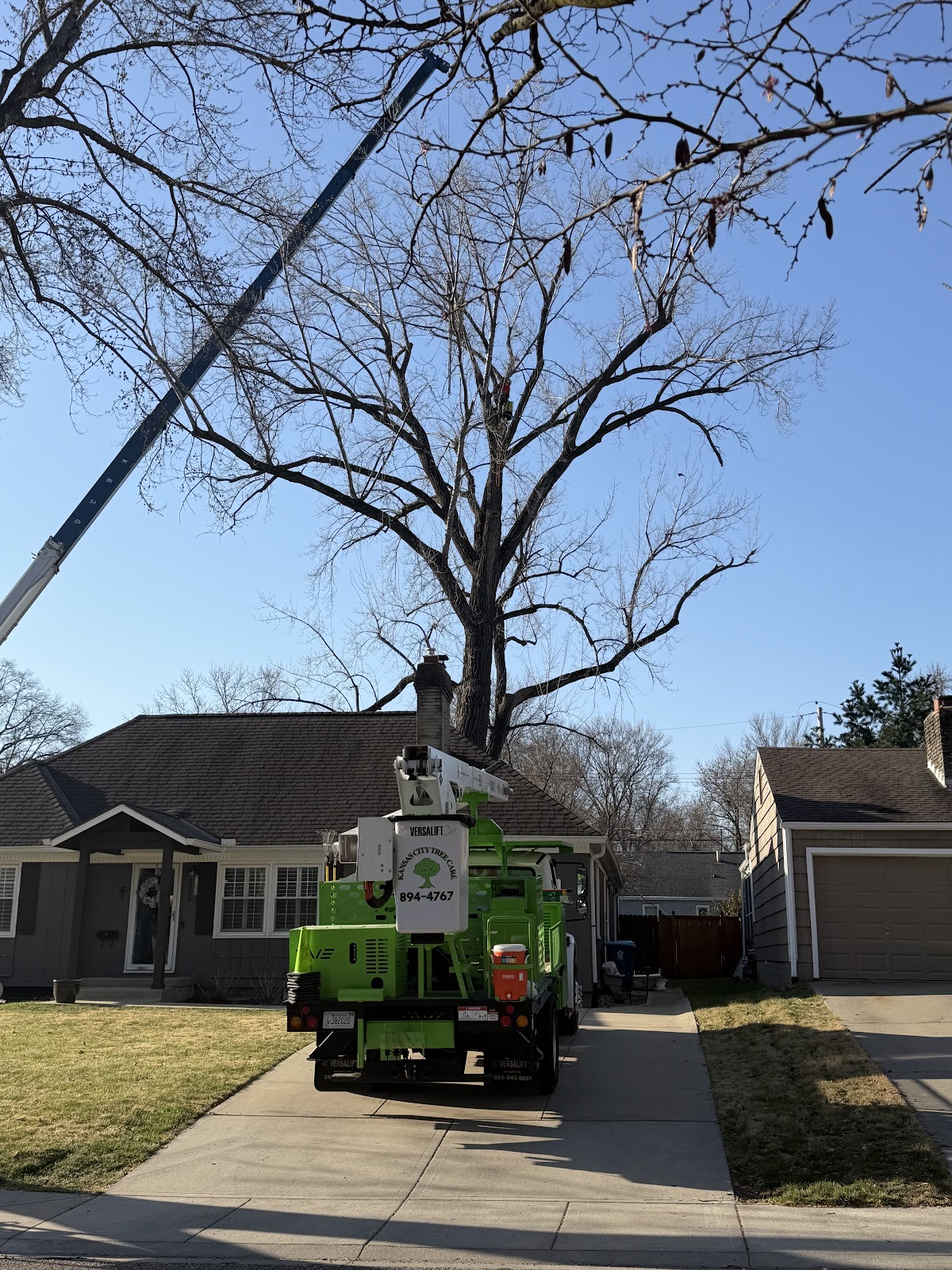 Beyond the Trees LLC – Kansas City, Kansas