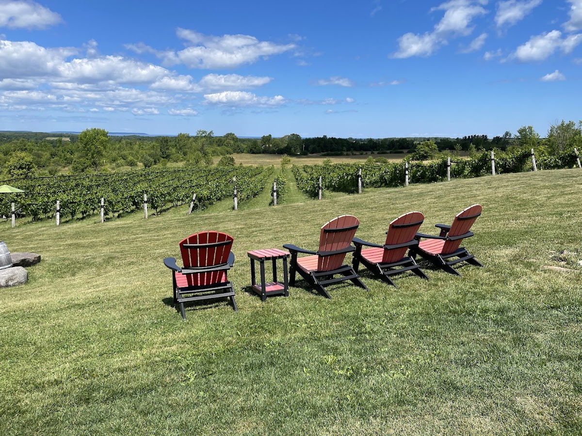 Coffin Ridge Vineyard – Annan, ON