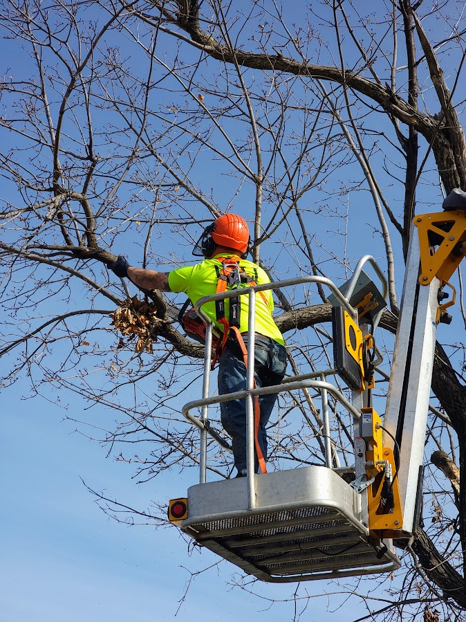 K&J Outdoor Services – Savage, Minnesota