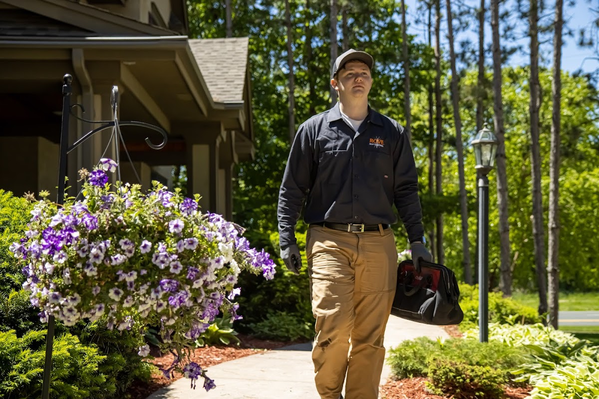 Rove Pest Control Minneapolis – Minneapolis, Minnesota