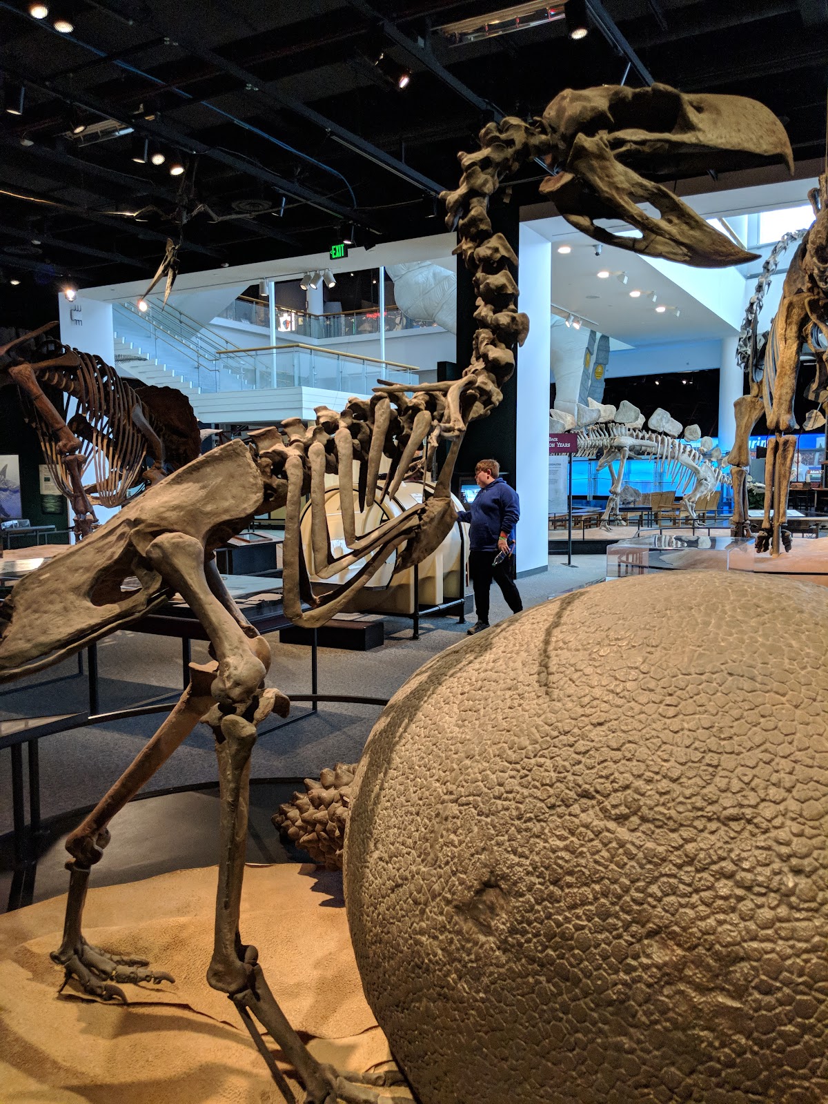 Environmental & Earth Sciences by Science Museum of Minnesota in Saint Paul, Minnesota