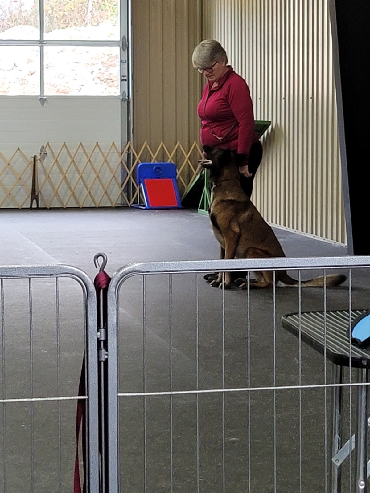 Sound Dog Training Facility – Owen Sound, ON