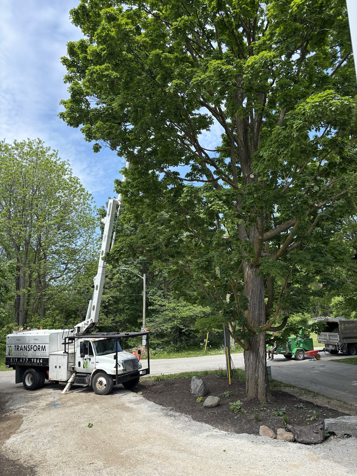 Sound Tree Services – Owen Sound, ON
