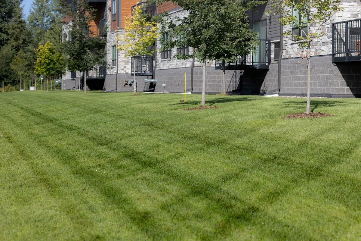 The Grounds Crew LLC – Burnsville, Minnesota
