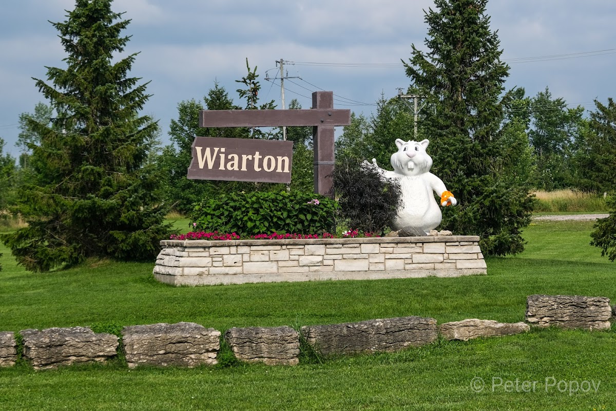 Southbrucepeninsula – Wiarton, ON